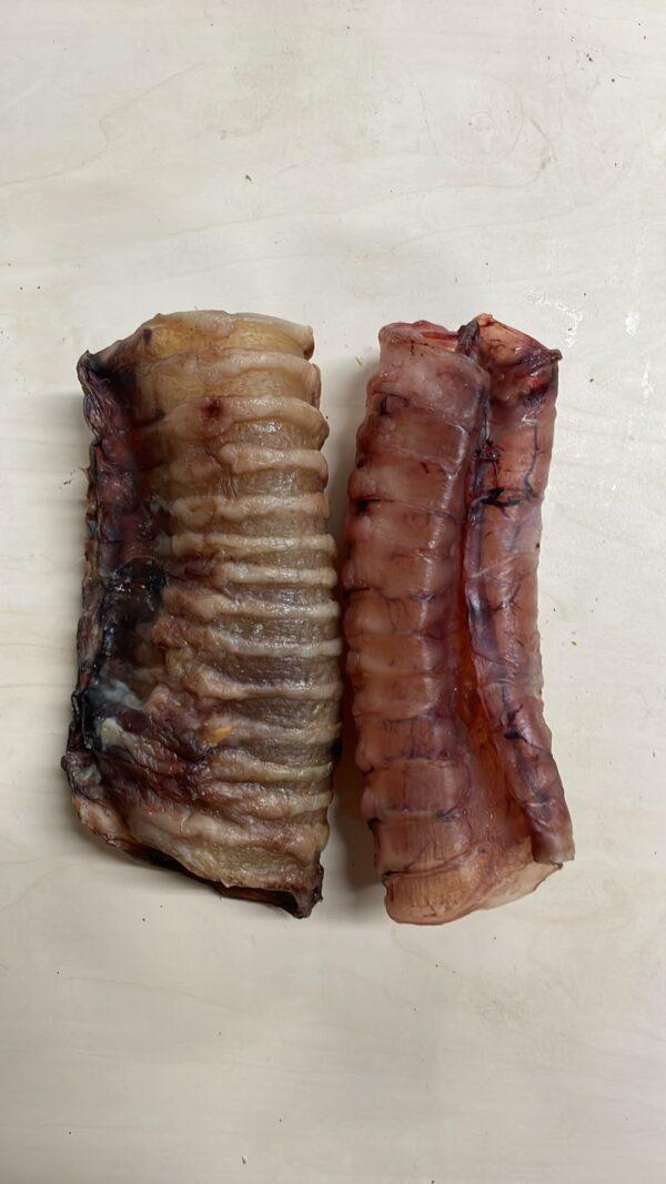 Trachea 14 cm